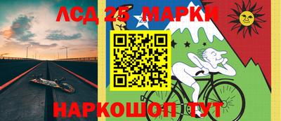 спиды Новодвинск