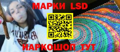 a pvp Новозыбков