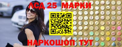 спиды Новодвинск
