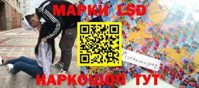 спиды Новодвинск