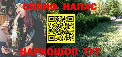 a pvp Новозыбков