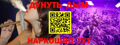спиды Новодвинск