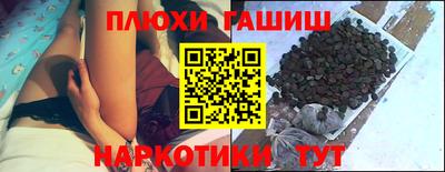 a pvp Новозыбков