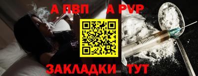 спиды Новодвинск