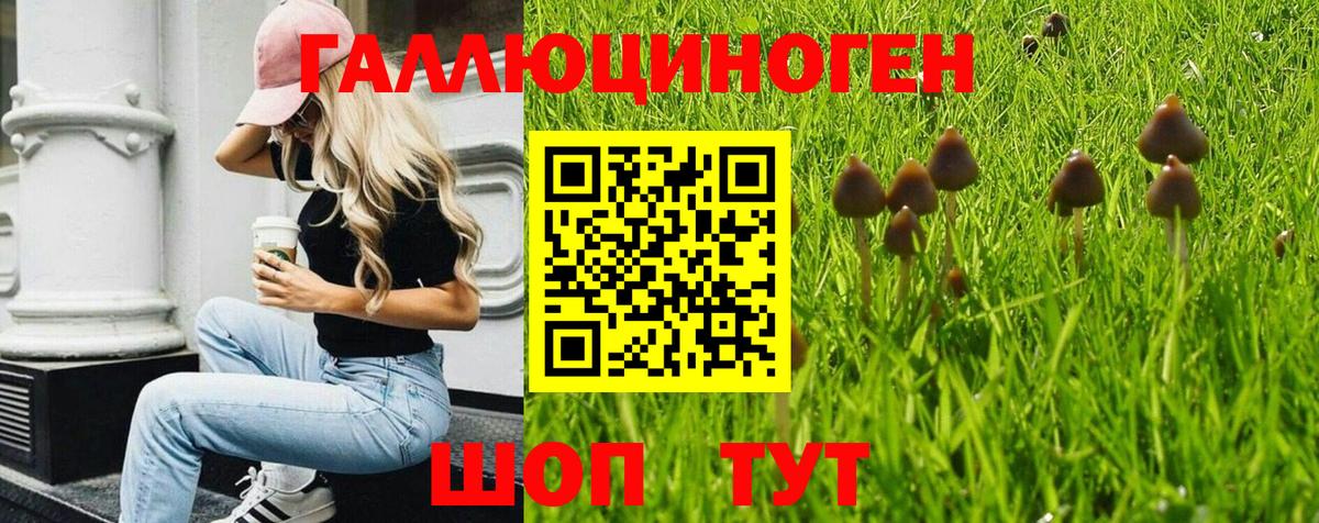 Псилоцибиновые грибы GOLDEN TEACHER  Вход с VPN  Тобольск  Псилоцибиновые грибы Magic Shrooms 