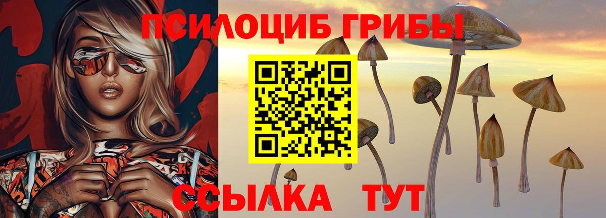 Галлюциногенные грибы прущие грибы Тобольск
